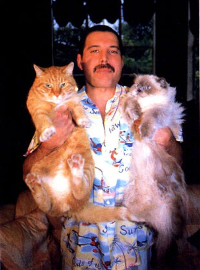 Freddie Mercury holding a cat